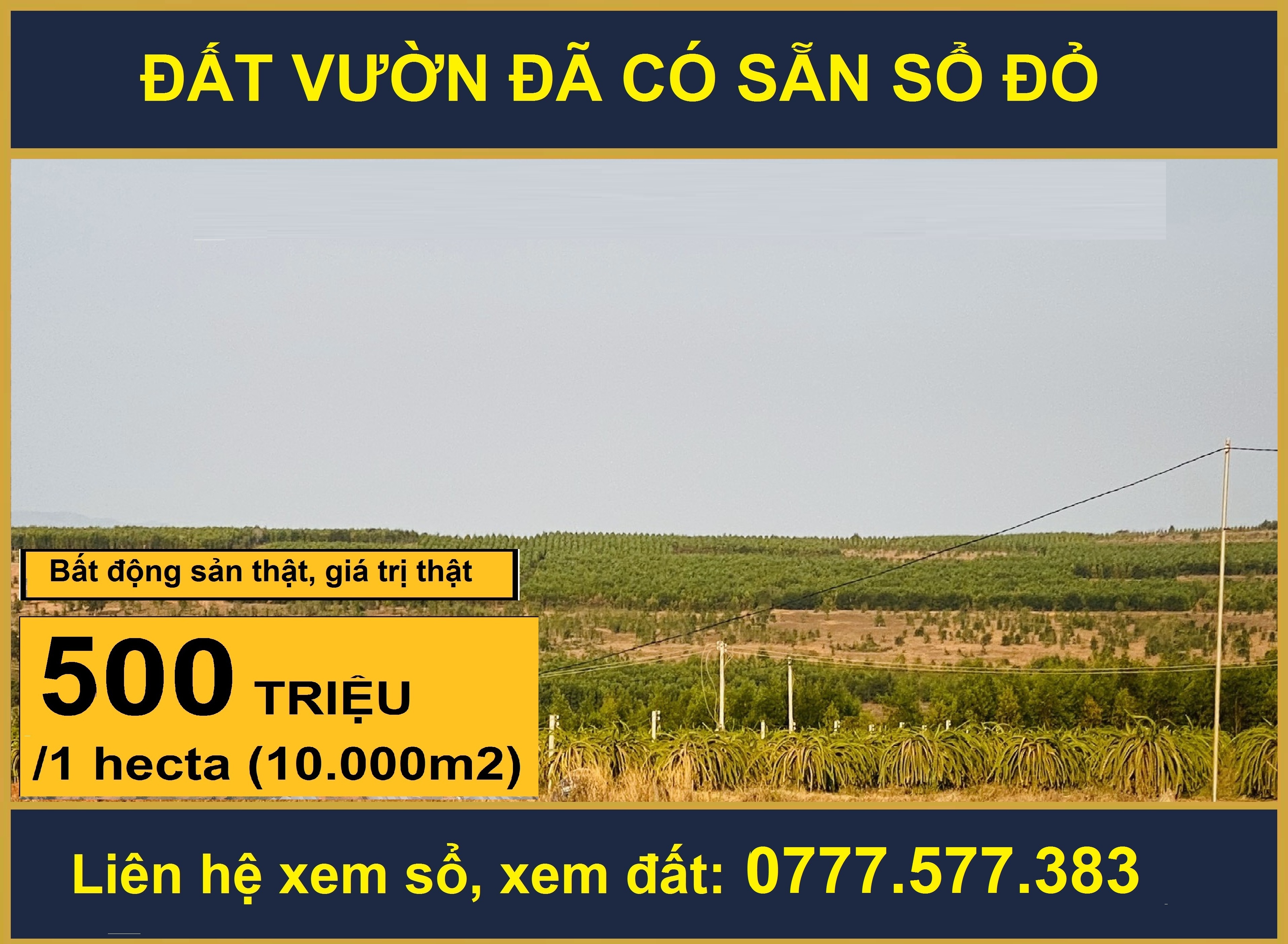 đất nông nghiệp Bình Thuận - 0777577383
