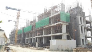 florra-fuji-nam-long-quan-9