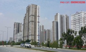 ra mắt dự án New City Thủ Thiêm