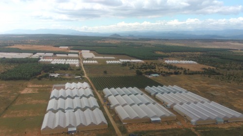 nông nghiệp công nghệ cao Bắc Bình