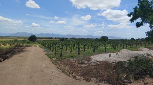 đất Bình Thuận