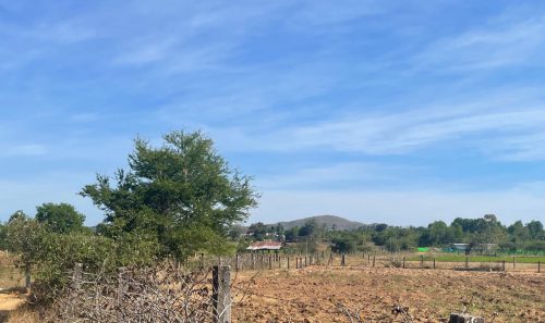 mua đất nền nông nghiệp vườn bình thuận